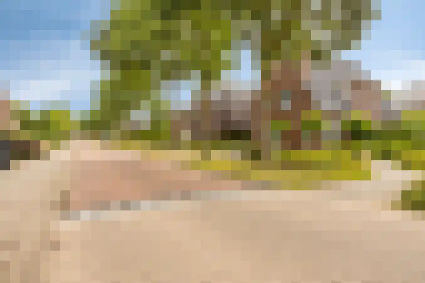 Streek 19 Etten-Leur thumbnail 46