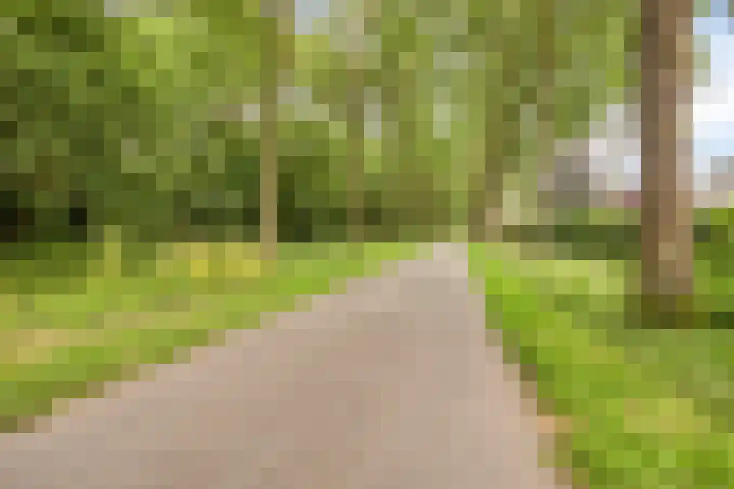 Streek 19 Etten-Leur thumbnail 48