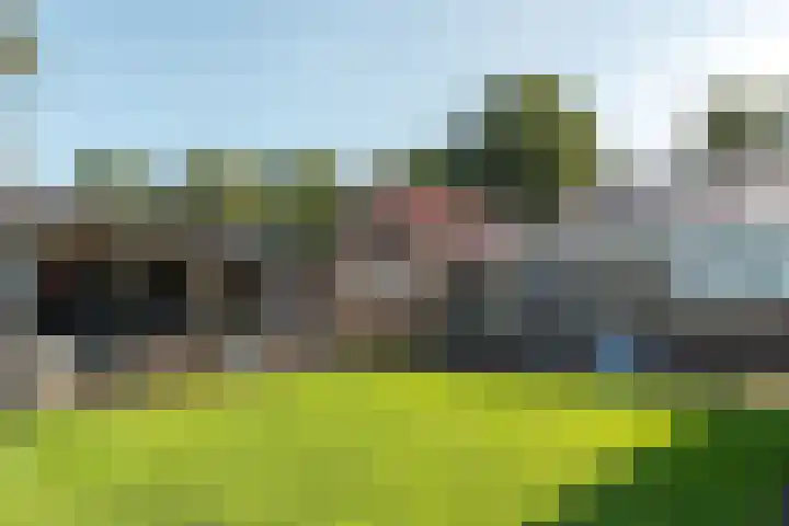 Streek 196 Rotsterhaule thumbnail 33