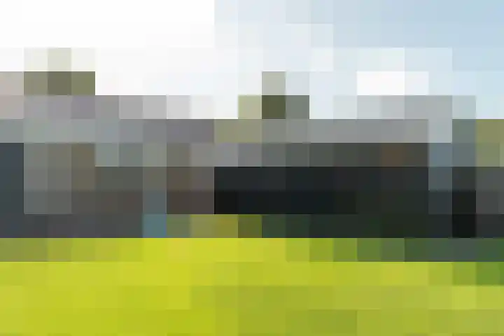 Streek 196 Rotsterhaule thumbnail 34