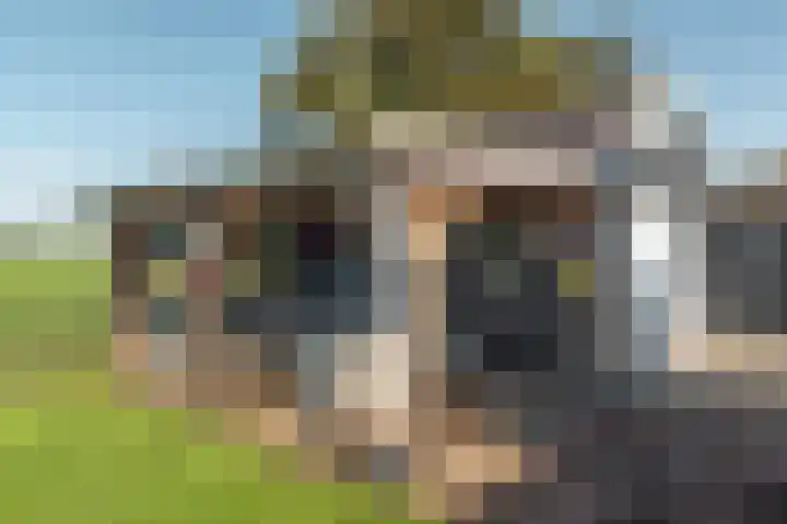 Streek 196 Rotsterhaule thumbnail 36