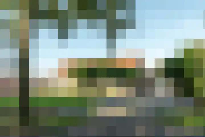 Streek 196 Rotsterhaule thumbnail 4
