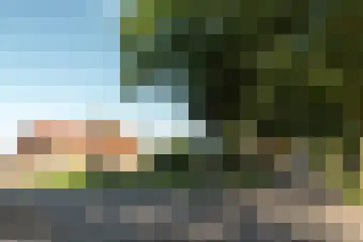 Streek 196 Rotsterhaule thumbnail 43