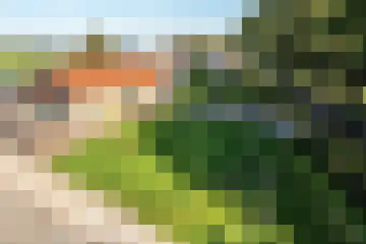 Streek 196 Rotsterhaule thumbnail 44