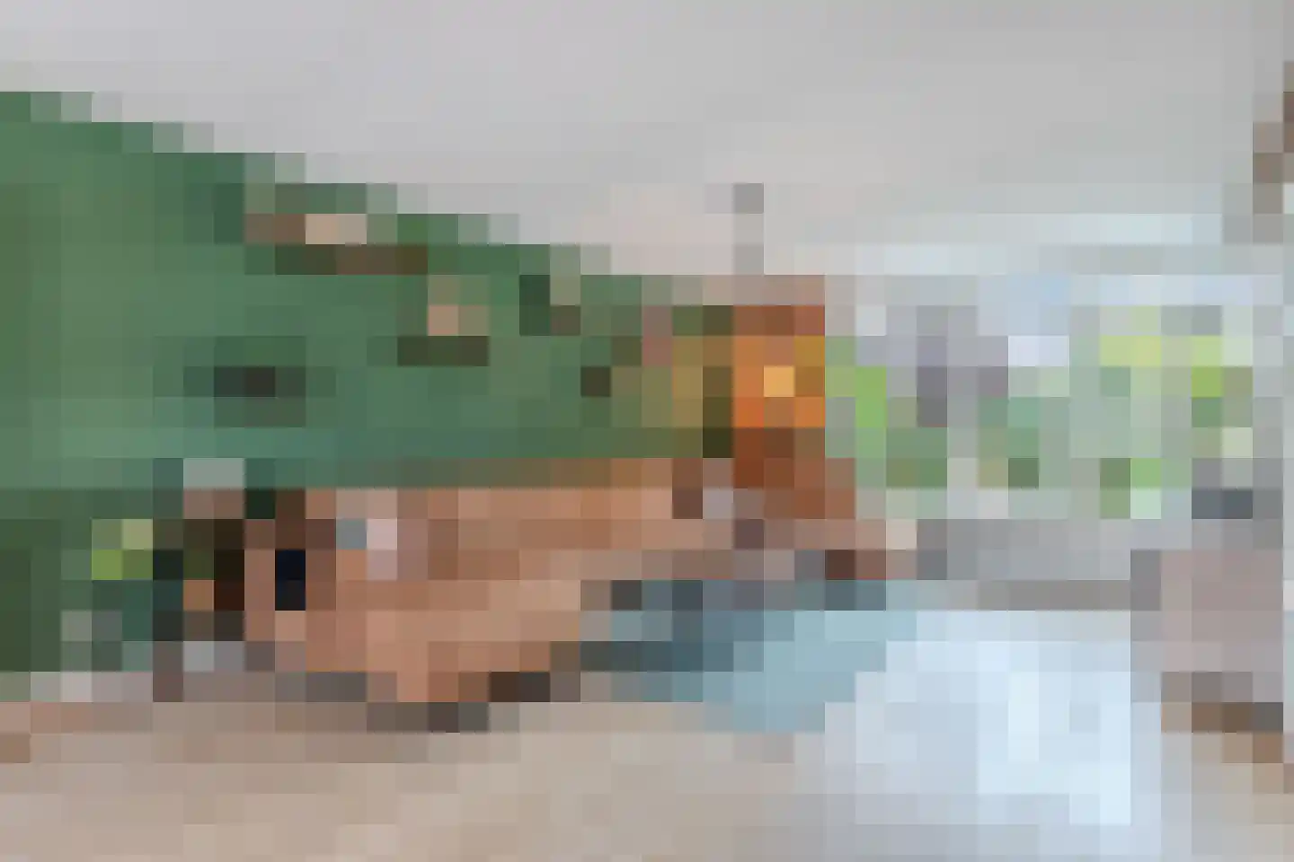 Streek 20 Emmeloord thumbnail 10