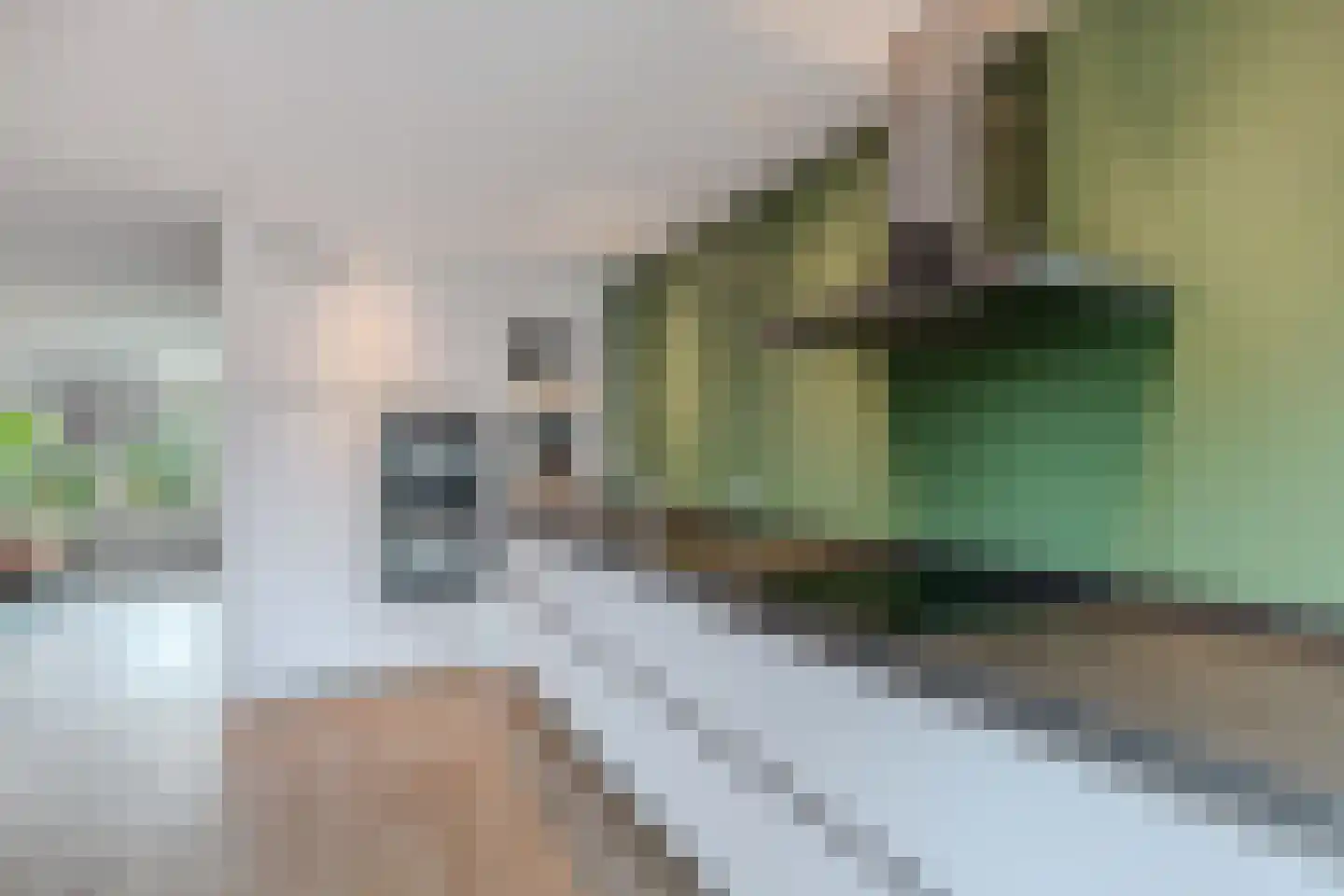 Streek 20 Emmeloord thumbnail 18