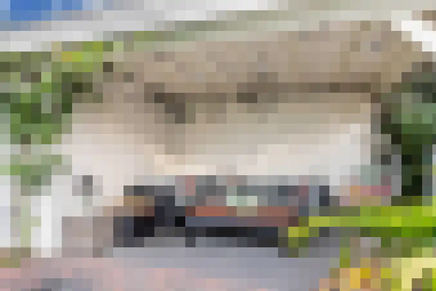 Streek 20 Emmeloord thumbnail 24