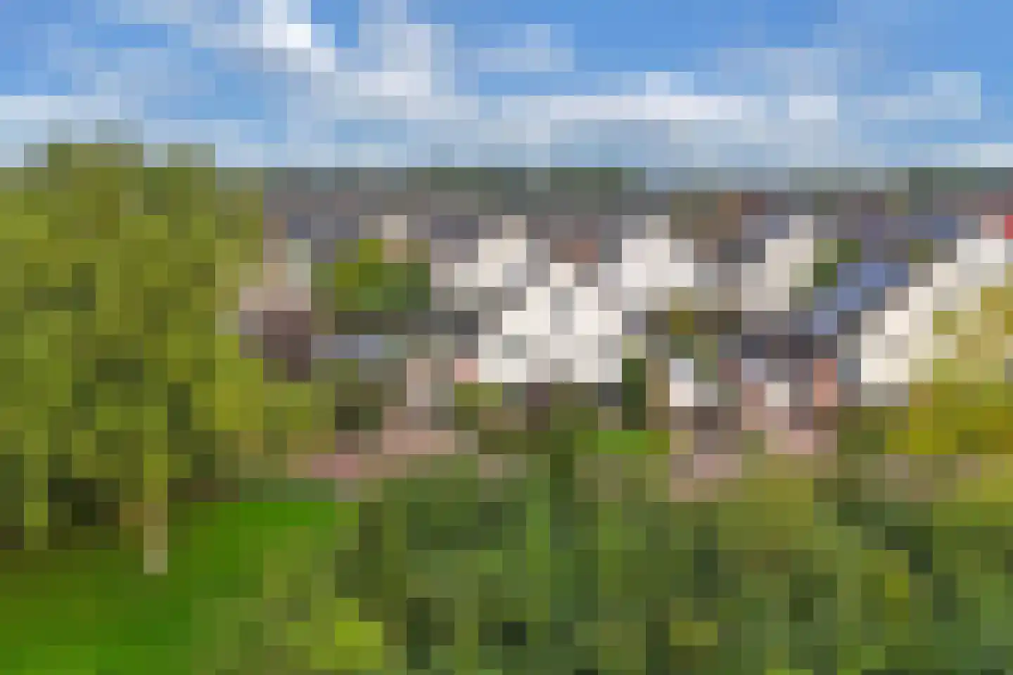 Streek 20 Emmeloord thumbnail 49