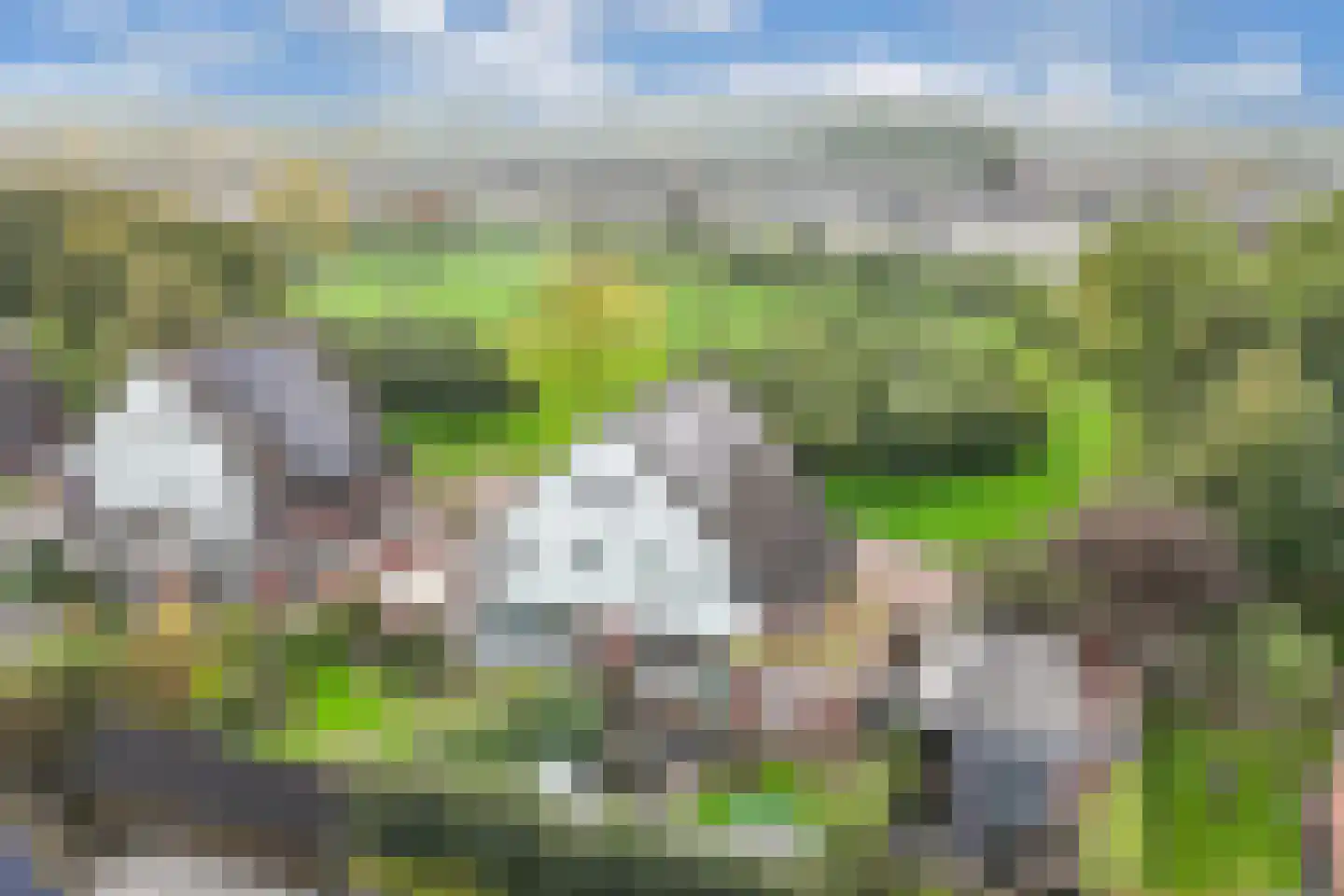 Streek 20 Emmeloord thumbnail 51