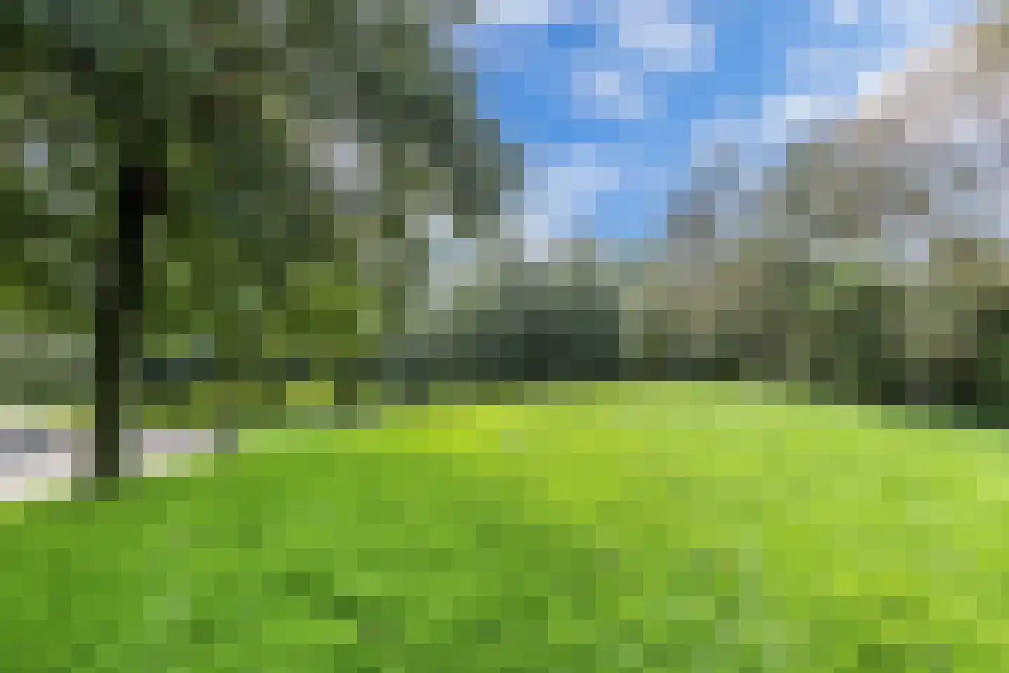 Streek 20 Emmeloord thumbnail 54