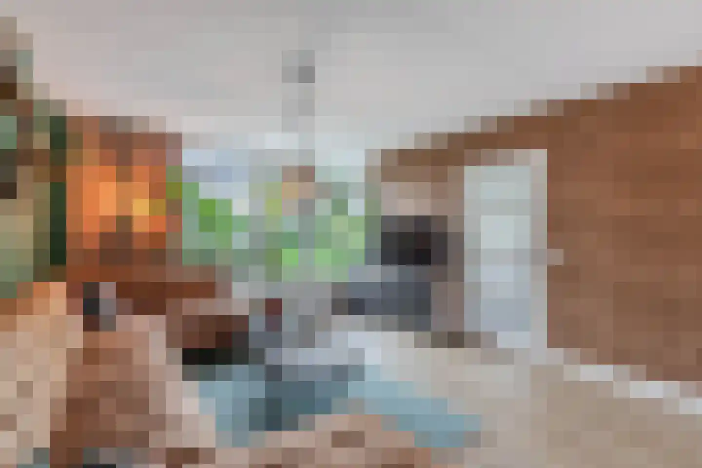 Streek 20 Emmeloord thumbnail 8