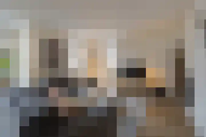 Streek 23 Etten-Leur thumbnail 11