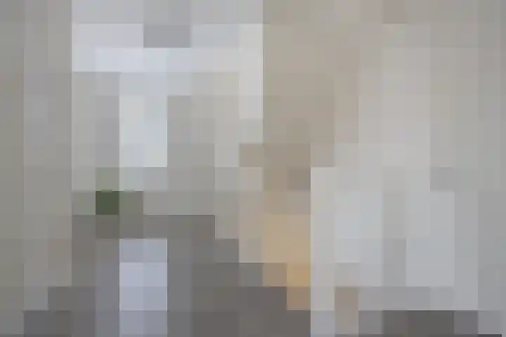 Streek 23 Etten-Leur thumbnail 26