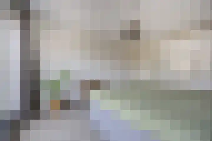 Streek 23 Etten-Leur thumbnail 30