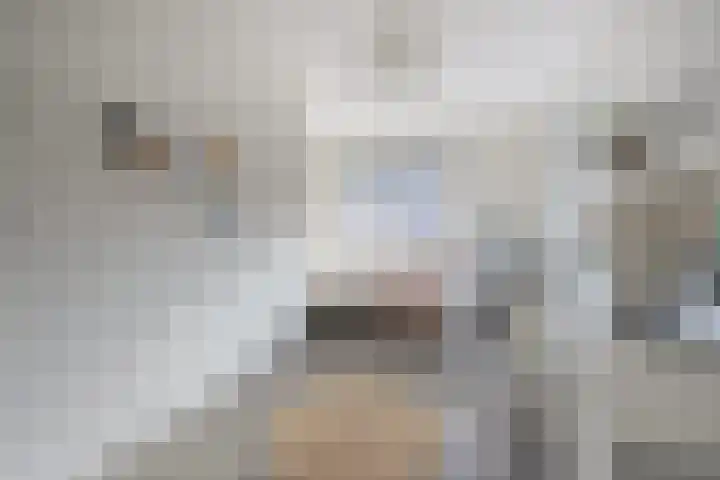 Streek 23 Etten-Leur thumbnail 32