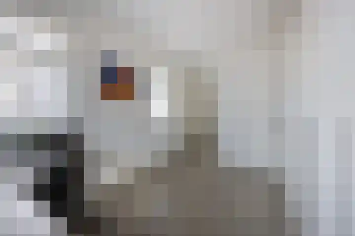 Streek 23 Etten-Leur thumbnail 36