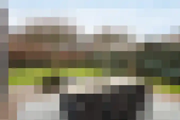 Streek 23 Etten-Leur thumbnail 51