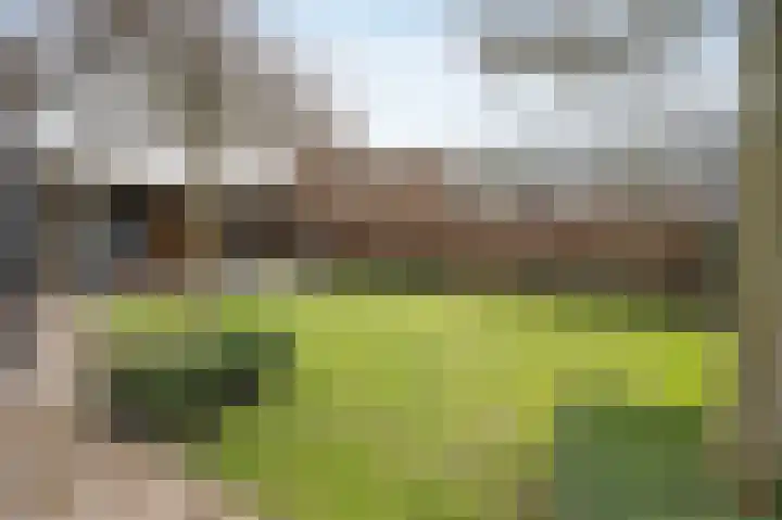 Streek 23 Etten-Leur thumbnail 52