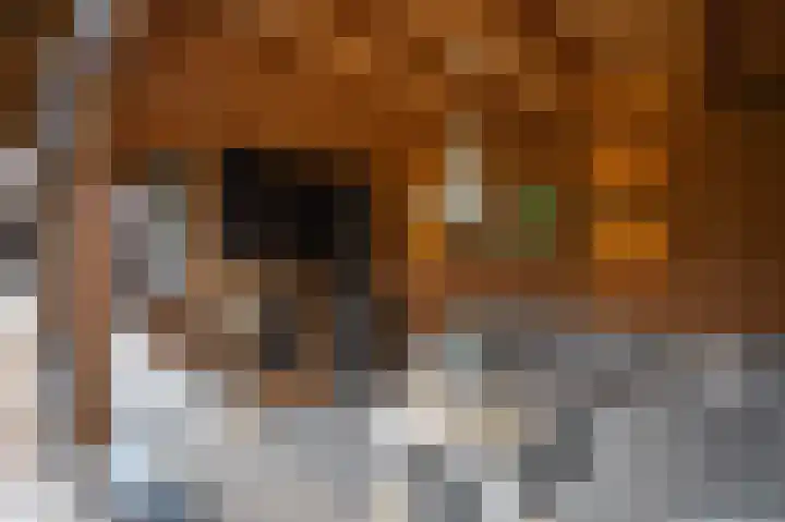 Streek 23 Etten-Leur thumbnail 55
