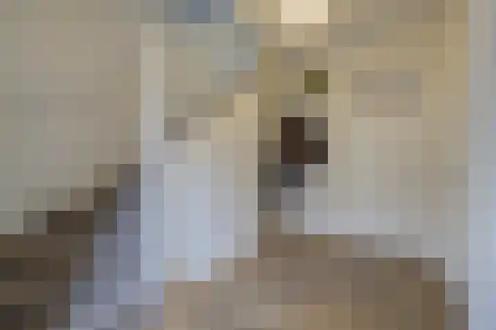 Streek 23 Etten-Leur thumbnail 6