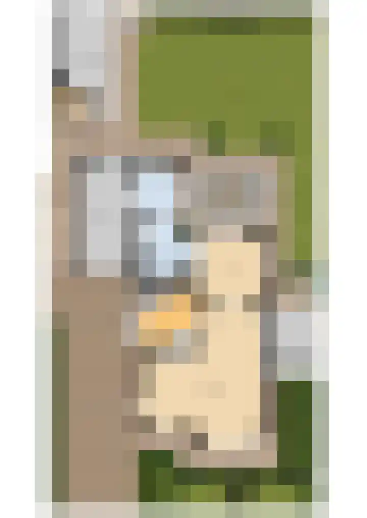 Streek 23 Etten-Leur thumbnail 67