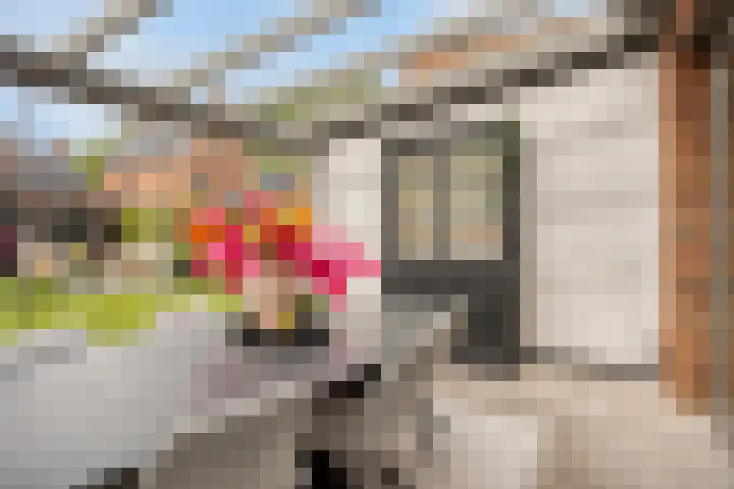 Streek 36 Etten-Leur thumbnail 26