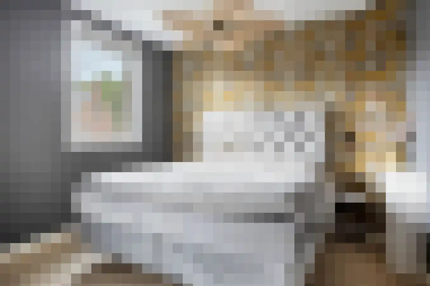 Streek 36 Etten-Leur thumbnail 31