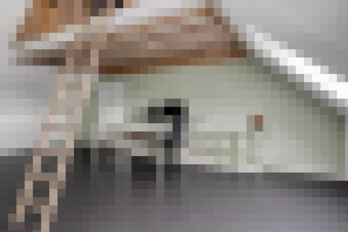 Streek 36 Etten-Leur thumbnail 41