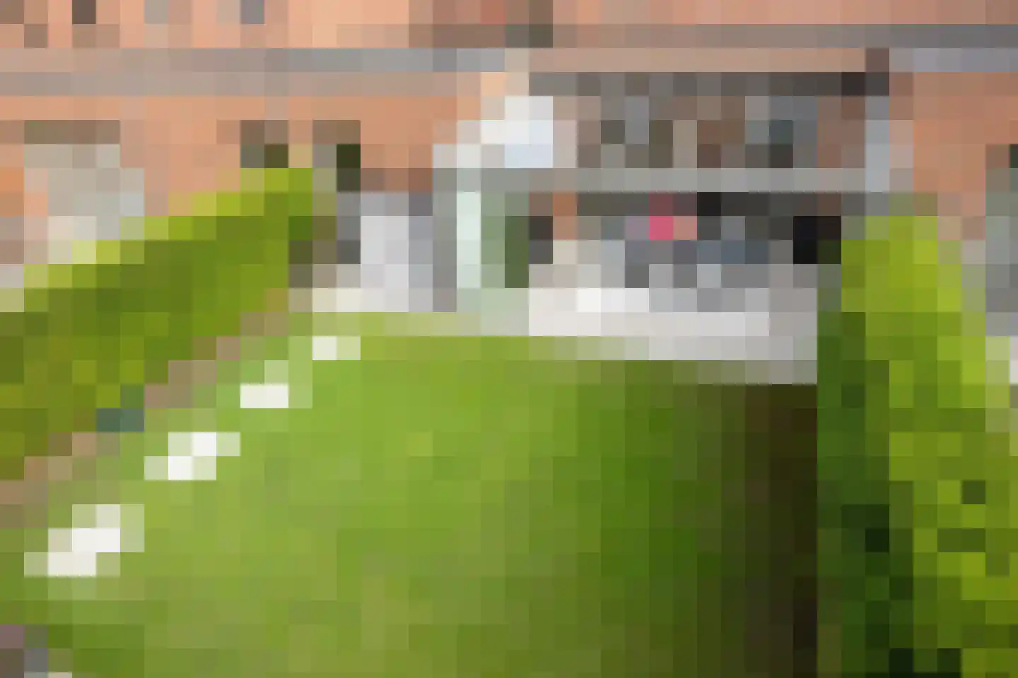 Streek 36 Etten-Leur thumbnail 50