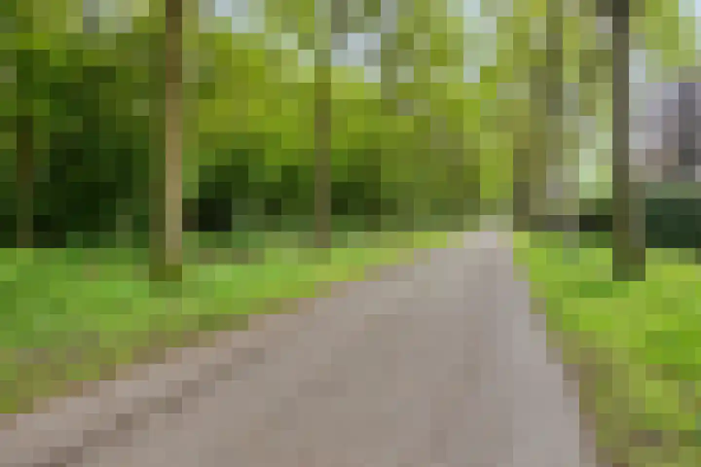 Streek 36 Etten-Leur thumbnail 52