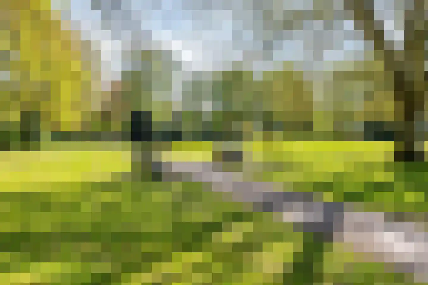 Streek 36 Etten-Leur thumbnail 54