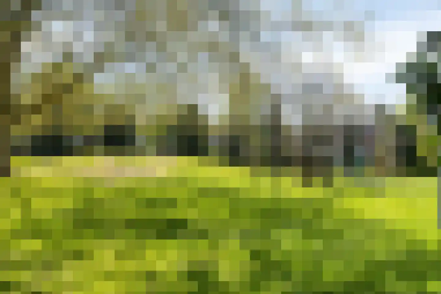 Streek 36 Etten-Leur thumbnail 55