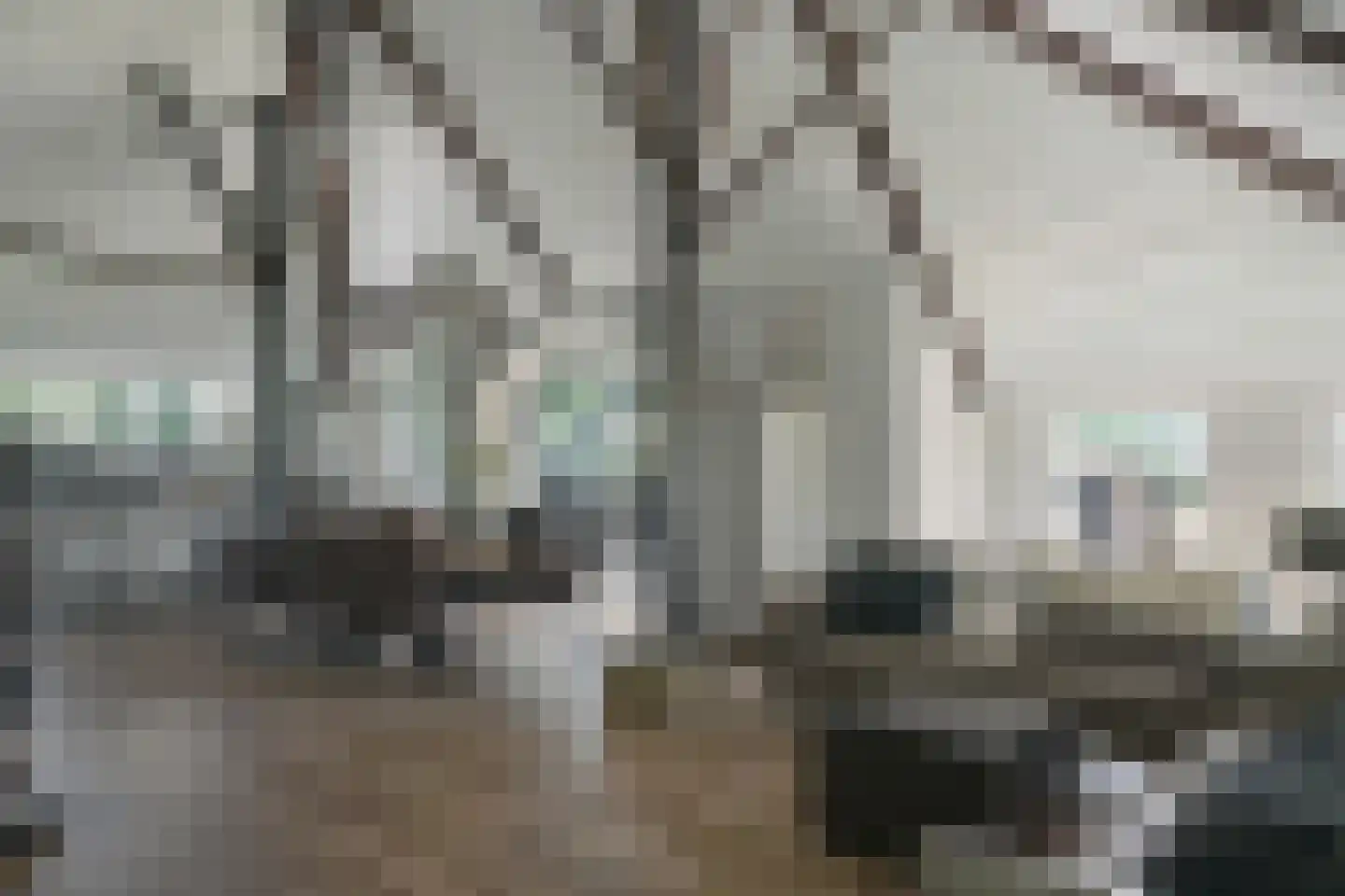 Streek 69 Sintjohannesga thumbnail 12