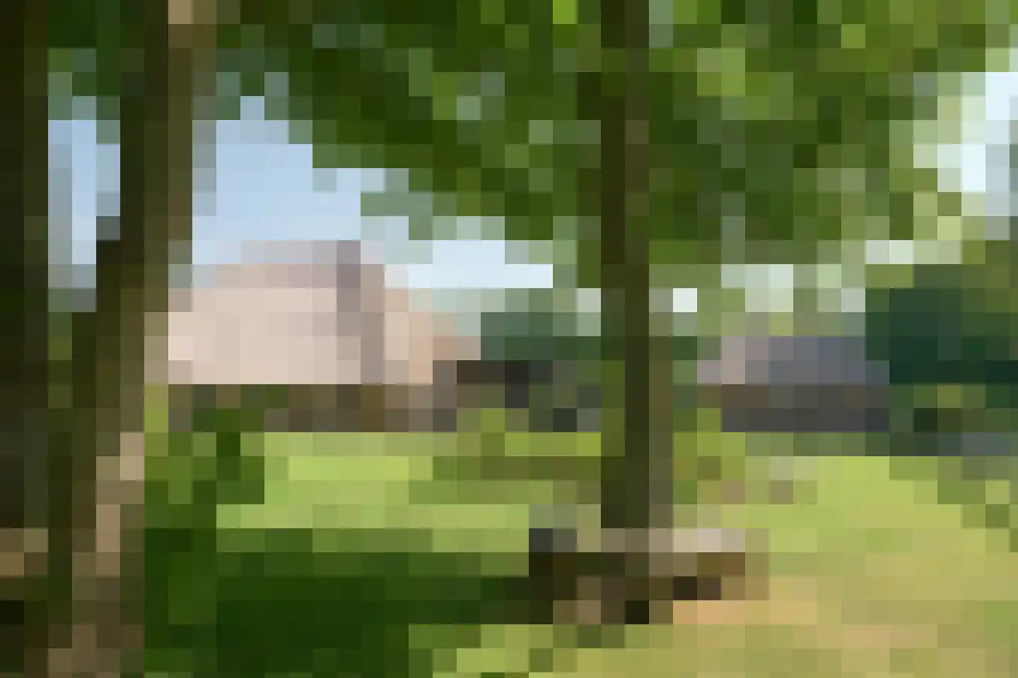 Streek 69 Sintjohannesga thumbnail 34