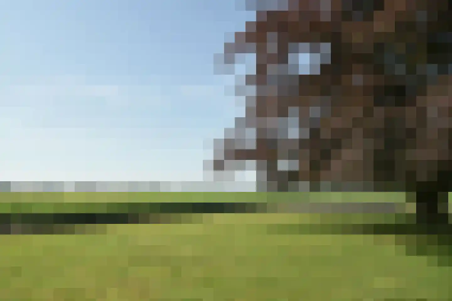 Streek 69 Sintjohannesga thumbnail 36