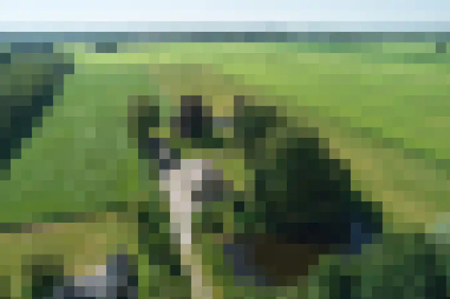 Streek 69 Sintjohannesga thumbnail 46