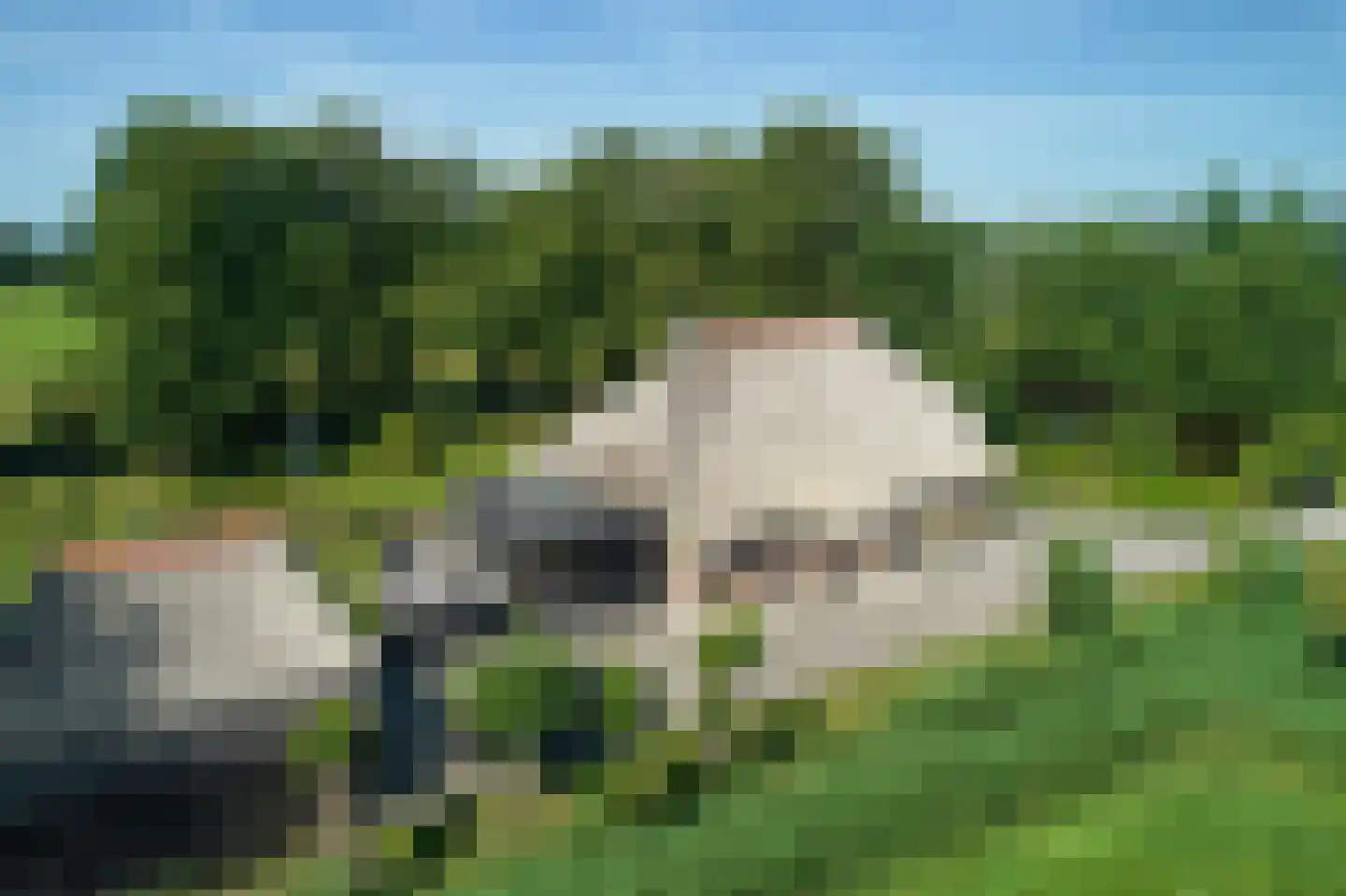 Streek 69 Sintjohannesga thumbnail 47
