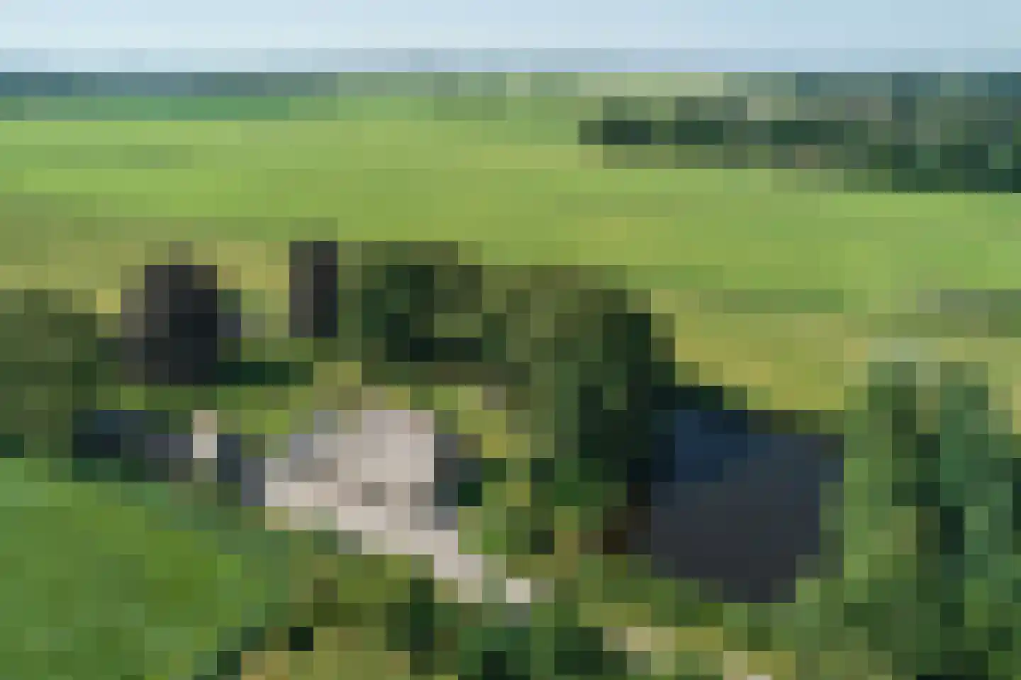 Streek 69 Sintjohannesga thumbnail 53