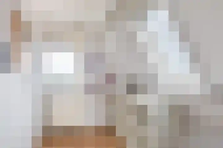 Streek 7 Sintjohannesga thumbnail 26
