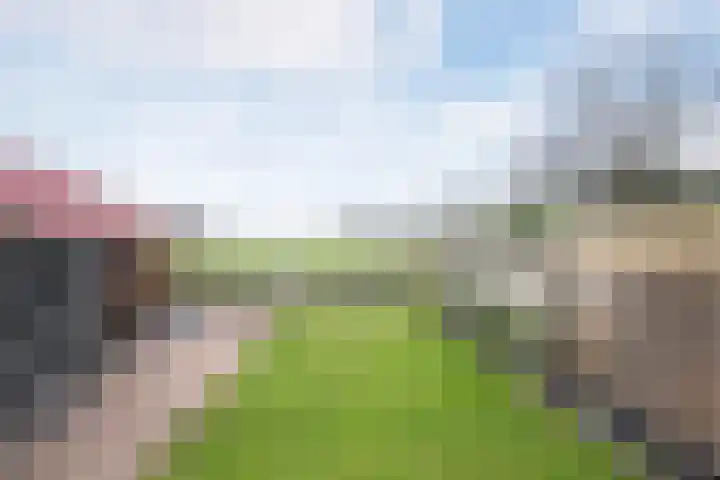 Streek 7 Sintjohannesga thumbnail 33
