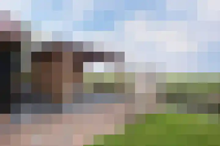 Streek 7 Sintjohannesga thumbnail 35