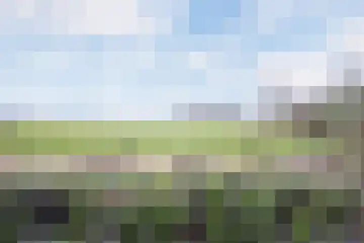 Streek 7 Sintjohannesga thumbnail 37