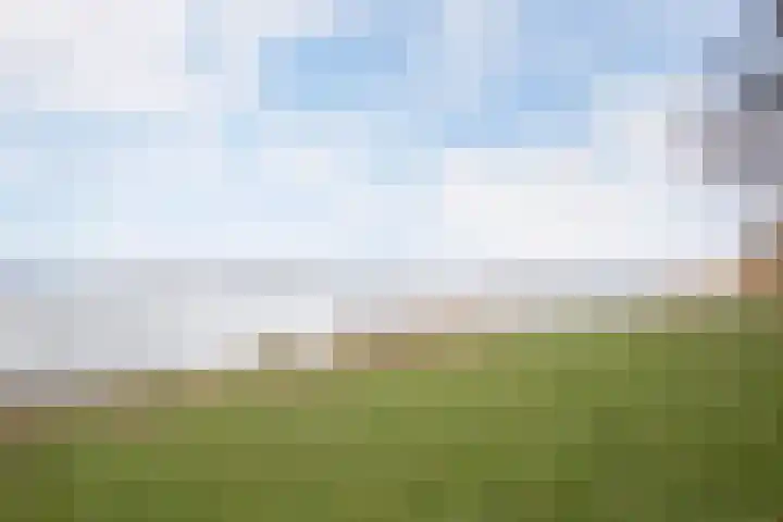 Streek 7 Sintjohannesga thumbnail 39