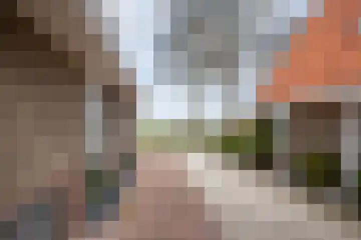 Streek 7 Sintjohannesga thumbnail 4