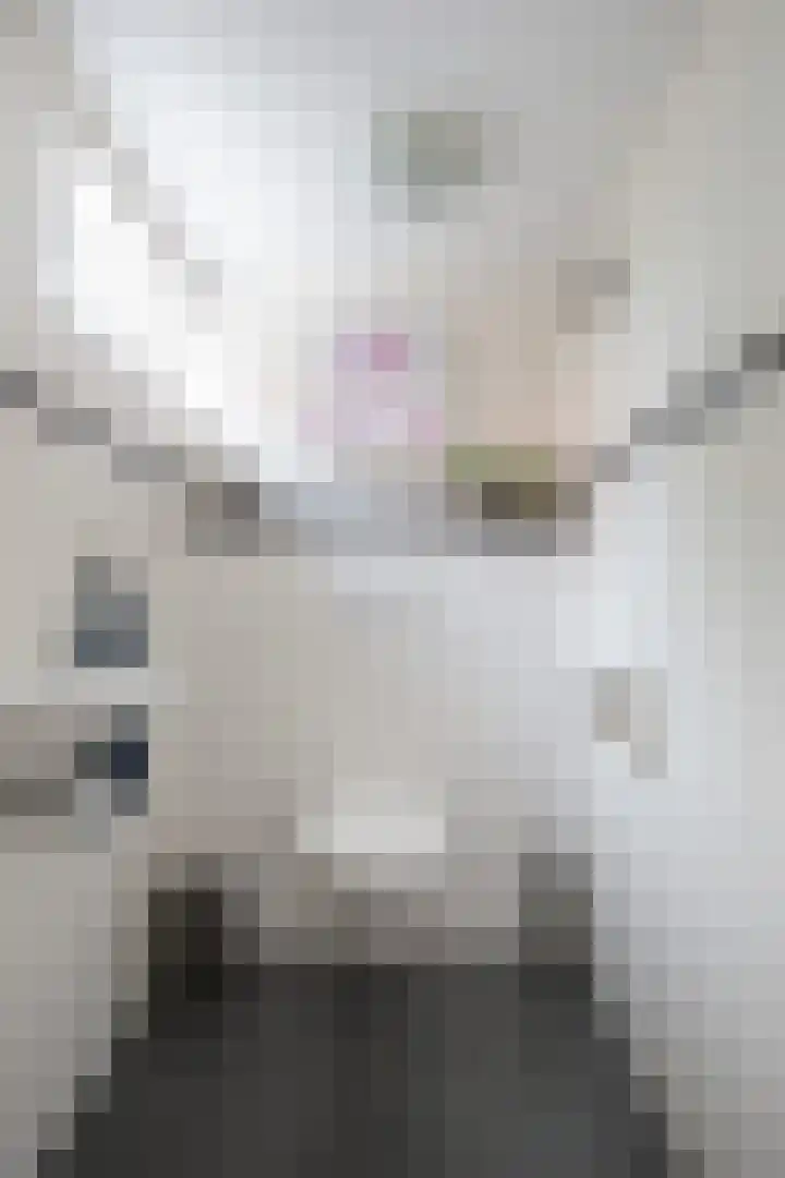Streek 7 Sintjohannesga thumbnail 7