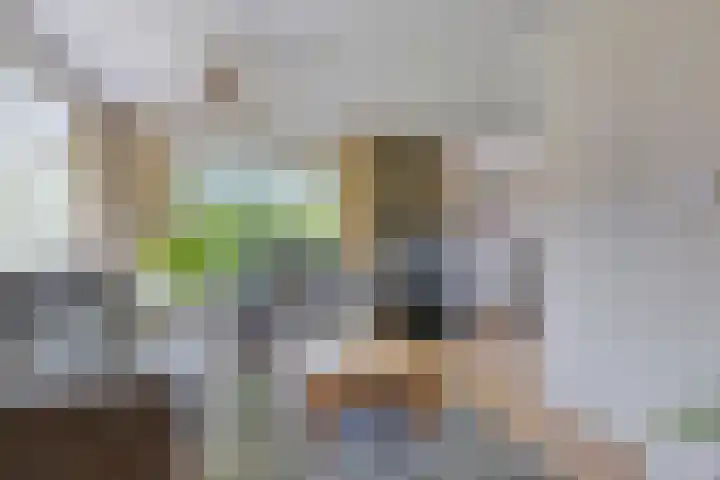 Streek 75 Sintjohannesga thumbnail 13