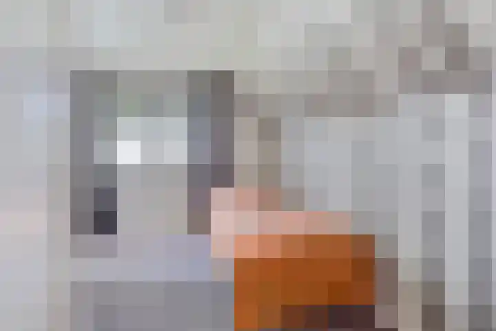 Streek 75 Sintjohannesga thumbnail 29