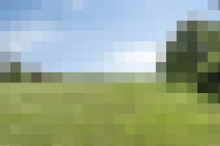 Streek 75 Sintjohannesga thumbnail 4
