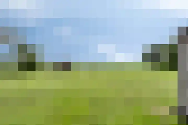Streek 75 Sintjohannesga thumbnail 41