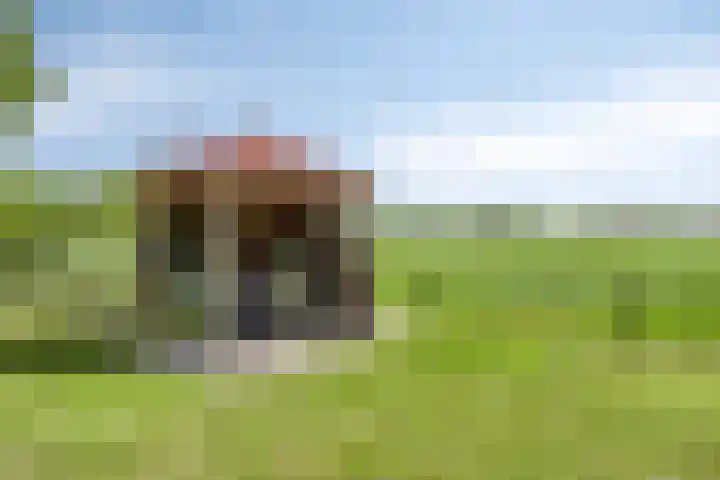 Streek 75 Sintjohannesga thumbnail 42